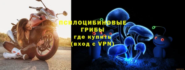 ECSTASY Беломорск