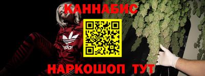 сатива Бийск