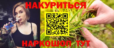 сатива Бийск