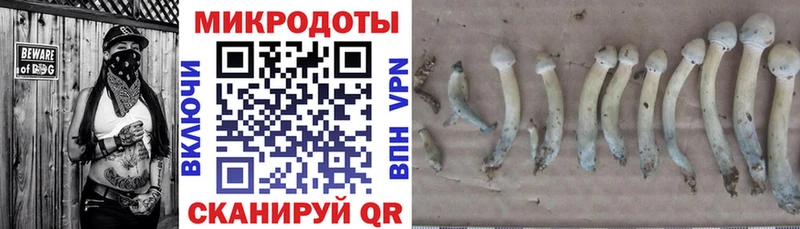 OMG ссылки  Верхний Уфалей  Псилоцибиновые грибы MAGIC MUSHROOMS  где купить наркоту 