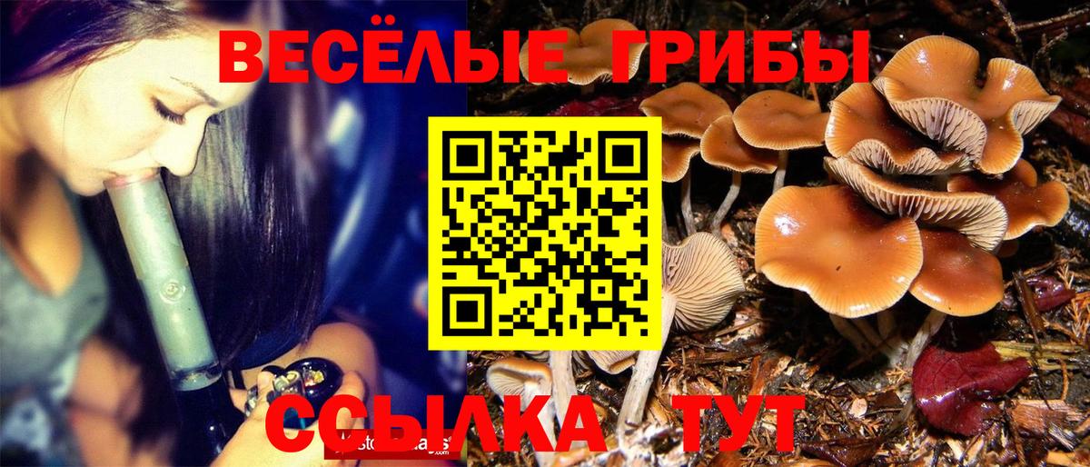Галлюциногенные грибы мицелий Верхний Уфалей