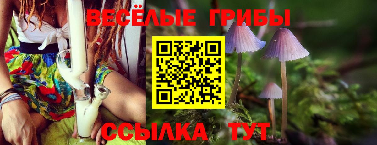 Псилоцибиновые грибы прущие грибы  Вход с VPN  Верхний Уфалей  Галлюциногенные грибы Cubensis 